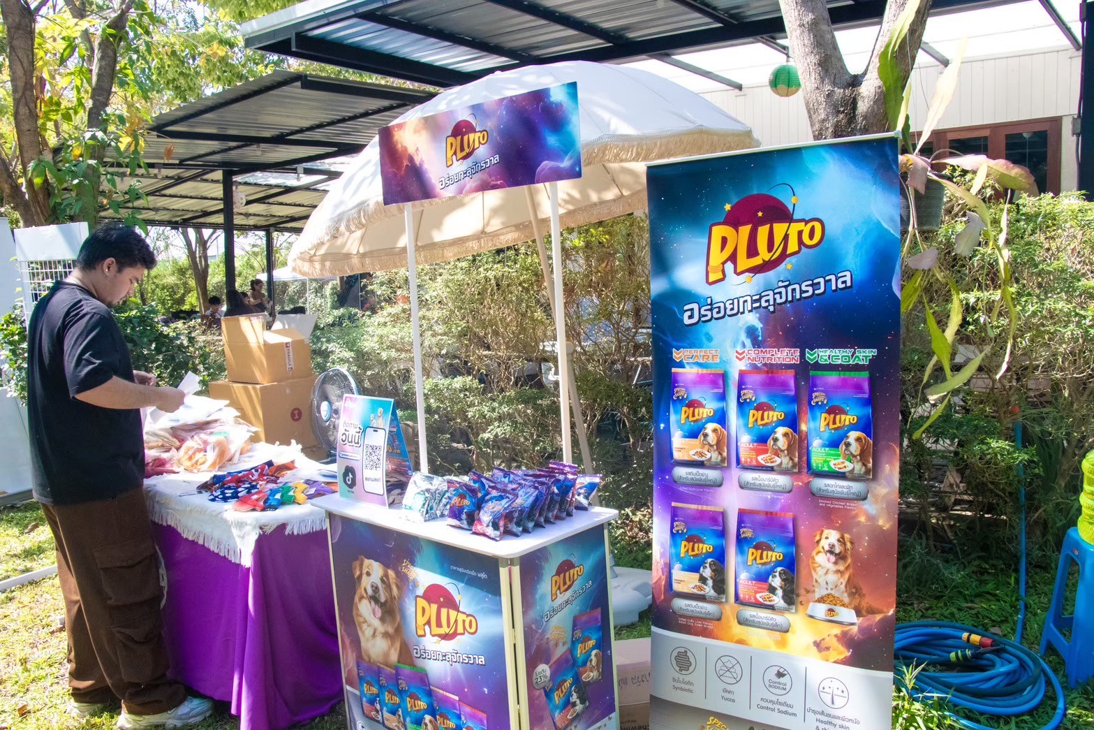 Jack Russell Meet & Play